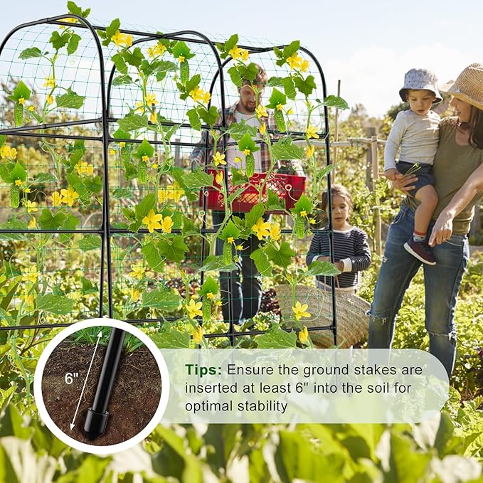 7ft Cucumber Trellis for Raised Bed, Garden Arch Trellis for Climbing Plants Outdoor Indoor, Metal Trellis Support with Net for Vegetables Tomato Zucchini Squash Beans Peas Melons, Rose Flowers,Vines