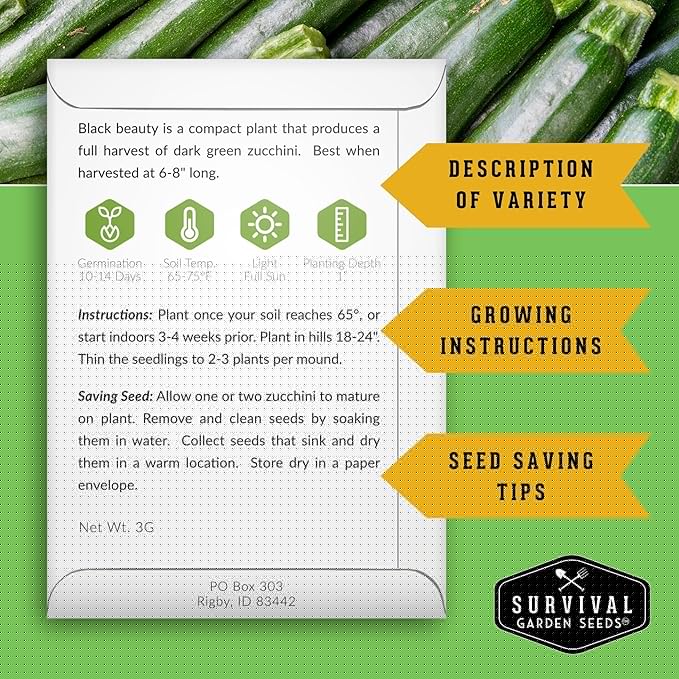 Survival Garden Seeds - Black Beauty Zucchini Seed for Planting - 1 Pack with Instructions to Plant & Grow Dark Green Summer Squash Plants in Your Home Vegetable Garden - Non-GMO Heirloom Variety