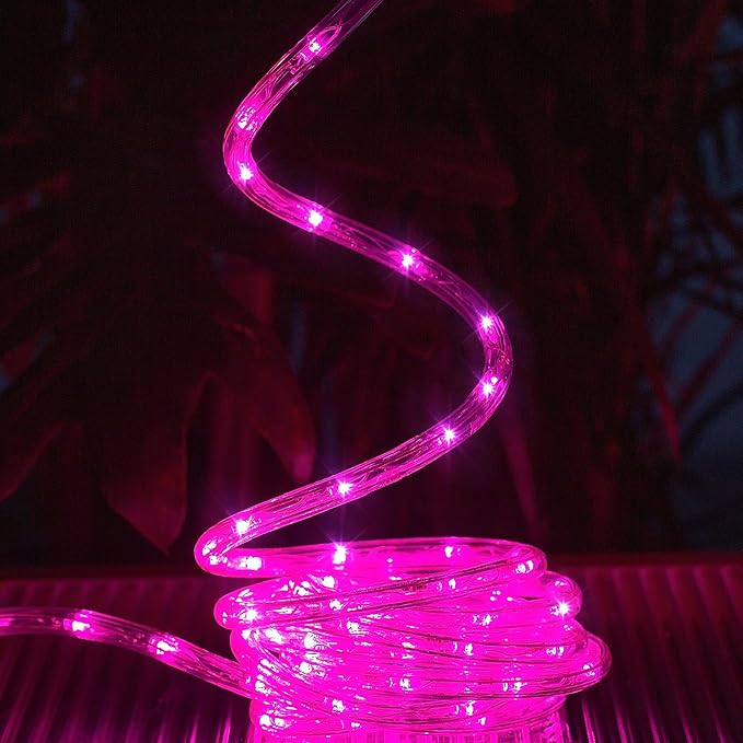 Waterproof LED Rope Lights, Connectable & Flexible with 8 Modes, Outdoor Lighting for Deck, Garden, Pool, Patio & Christmas Decor (Pink, 100ft)