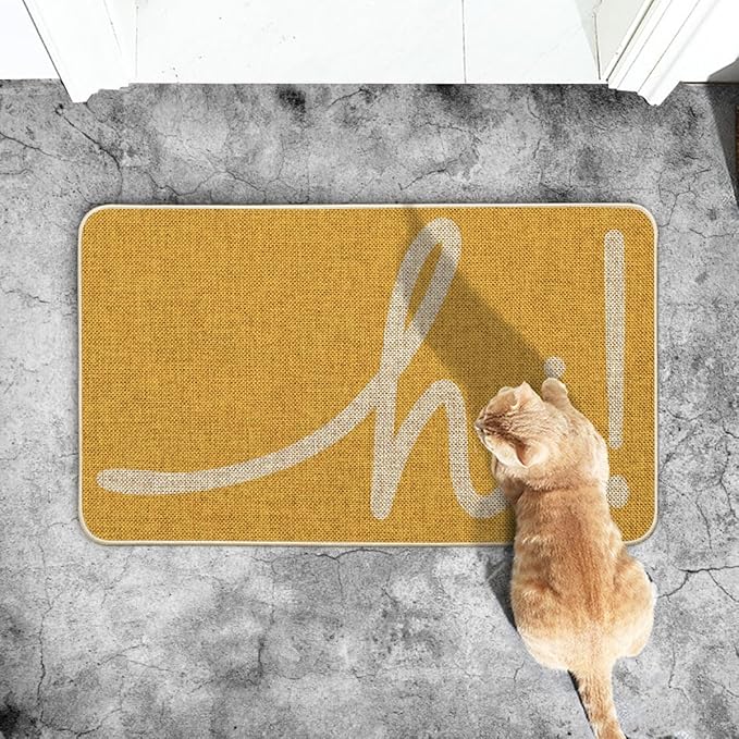 Artoid Mode Yellow Hi Regular Doormat, Home Decor Low-Profile Switch Rug Welcome Door Mat Floor Mat for Front Door Indoor Outdoor 17x29 Inch