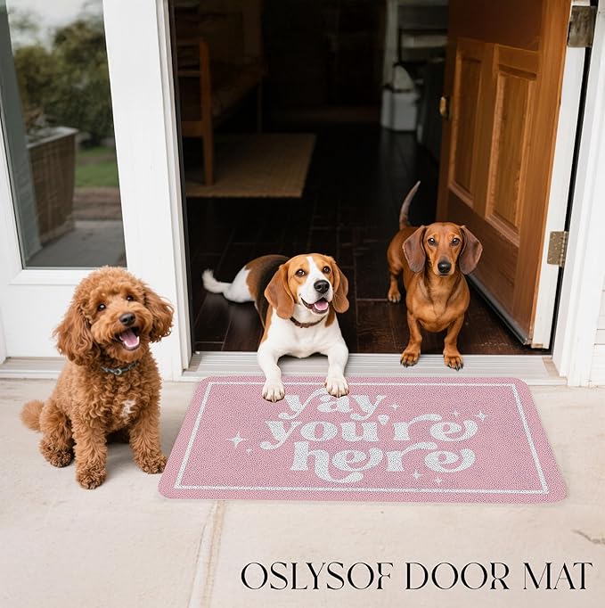 Funny Pink Door Mat, Yay You're Here Doormat for Front Door Indoor Outdoor Porch Entrance Entryway, Funny Welcome Mat Outside, 17x30 Inches