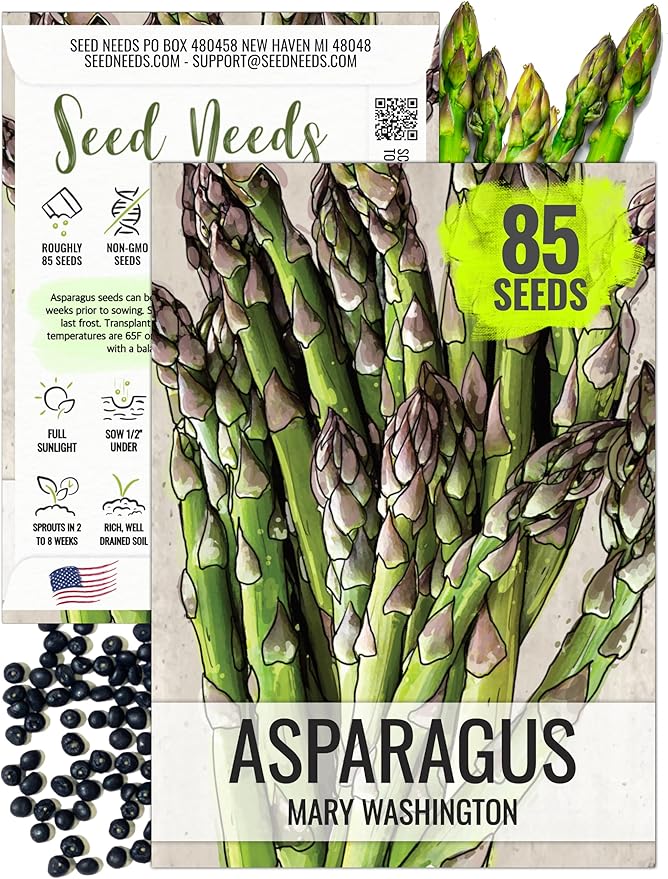Seed Needs Asparagus Seeds for Planting Mary Washington Asparagus - Non-GMO Heirloom & Untreated Perennial Vegetable Seed to Plant an Outdoor Home Grown Garden (1 Pack)