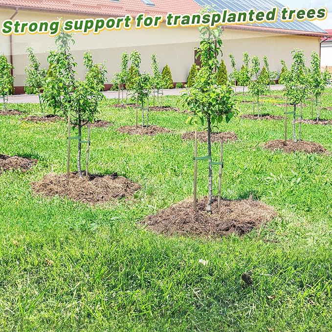 2,425 Lbs Strength Tree Straps - 216FT Tree Tie Support Straps for Staking, Green Blend in with Landscaping for Guying Young Trees Straight and Storm Protection, for Outdoor Plants, 1" Wide
