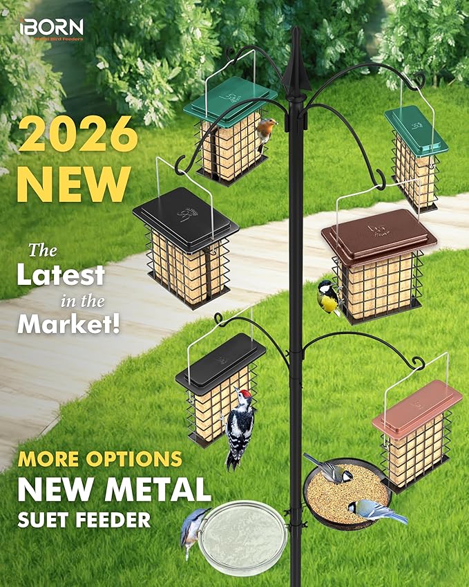 iBorn Double Suet Feeder for Outside Hanging,Weatherproof Suet Feeders,Suet Holder with Taller Grid for Woodpecker, Suet Cage Bird Feeders for Outdoors (Coffee, 6 Inch,1 Pack)