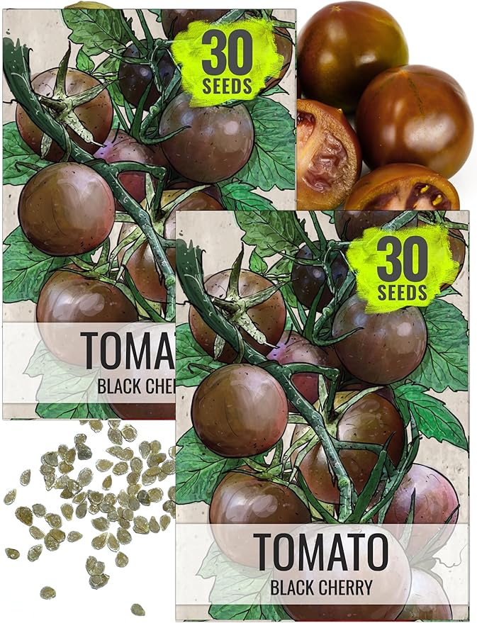 Seed Needs Tomato Seeds for Planting Black Cherry Tomatoes - Non-GMO Heirloom & Untreated Indeterminate Variety to Plant a Home Grown Outdoor Vegetable Garden (5 Packs)