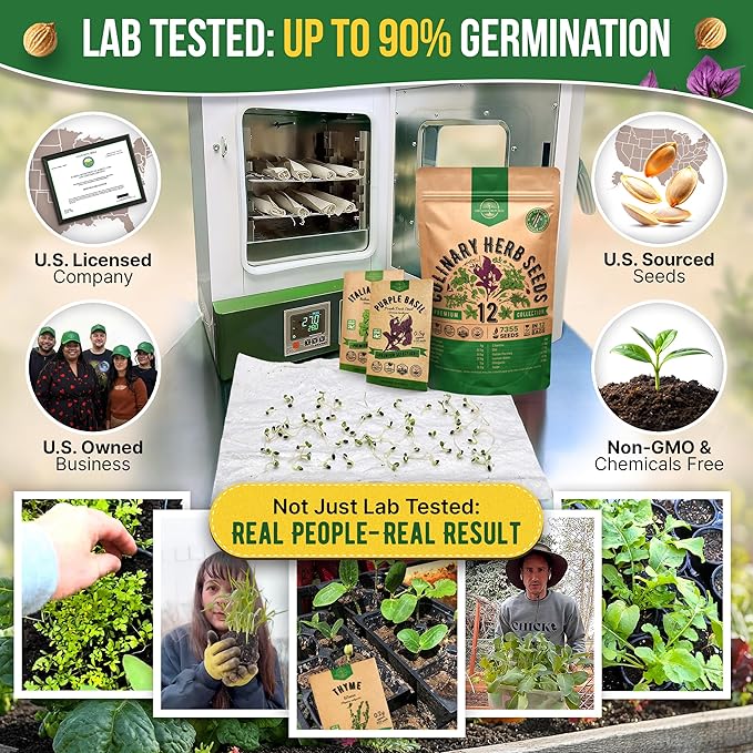 Organo Republic 12 Culinary Herbs Seeds Variety Pack - 7,355+ Heirloom, Non-GMO, Herbs Seeds for Outdoor and Indoor Home Gardening, Including Basil, Cilantro, Chives, Dill, Parsley, Sage