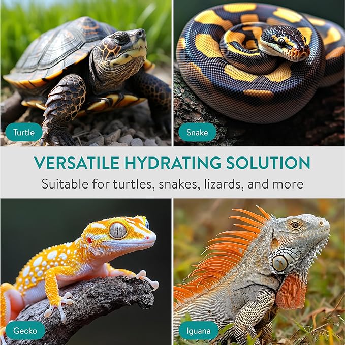 Navaris Corner Reptile Water Bowl, 400ml - Lizard & Tortoise Dish Accessories for Enclosure - Water or Food Bowls for Turtle, Lizard, Gecko, Bearded Dragon, Hedgehog, and More