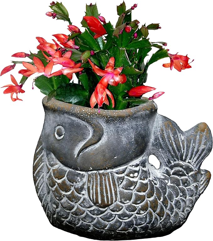 Classic Home and Garden Cement Buddies Animal Planter - Cute Desk Decoration - UV Coated Animal Vase w/Removable Drain Plug -Succulent Planter for Indoor/Outdoor Use (Largemouth Bass, Bronze, Small)