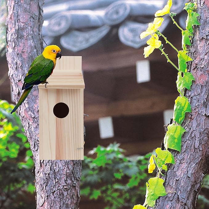 Bird Houses for Outside,Wooden Clearance Humming Bird Houses for Outdoor,Cedar Blue Bird Box House,Swallow Wren Cedar Finch House,DIY, 1Pack