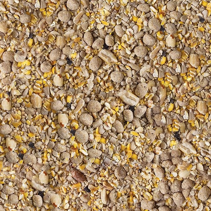 Kaytee Seed & Suet No Mess Peanut 10 Pounds