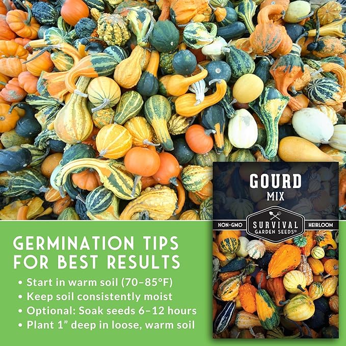 Mixed Gourd Seeds for Planting – Ornamental Mix of Colorful Decorative Gourds for Fall Crafts, Birdhouses, and Harvest Décor - Heirloom Non-GMO Open-Pollinated - Survival Garden Seeds (1 Pack)