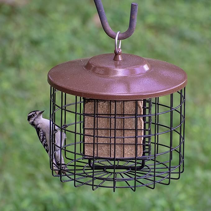 More Birds Bird Feeder- Double Cage