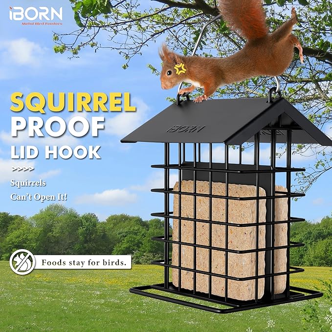 iBorn Suet Feeder for Outside Hanging,Suet Bird Feeders for Outdoors,Suet Holder With Squirrel Proof Hanger Hook,Suet Cage Bird Feeders,Woodpecker Feeder,Weatherproof Metal Roof,All Metal,1 Pack,Black