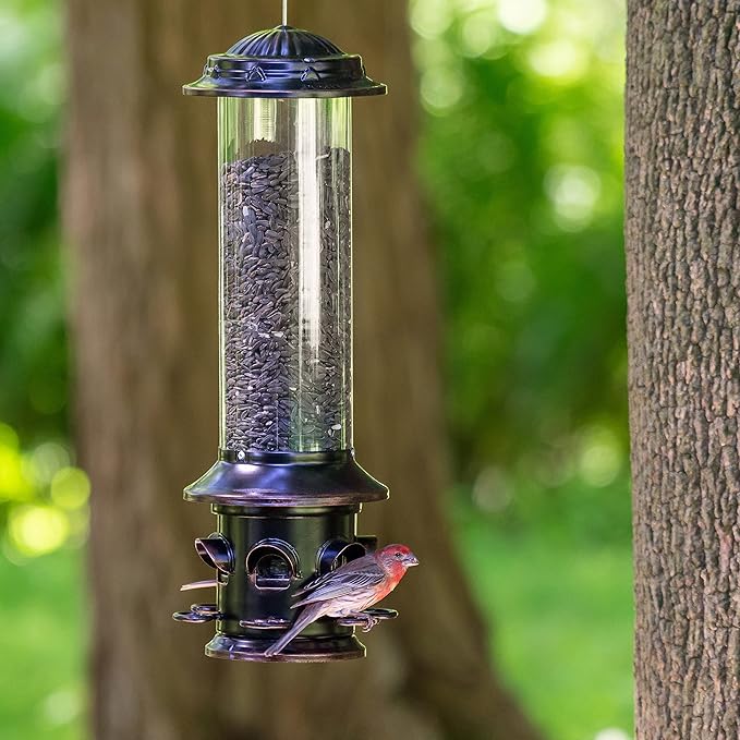 Squirrel-X X5 Bird Feeder, Discourages Squirrels 6 Spring Loaded Perches, 3.7 lb Birdseed Capacity
