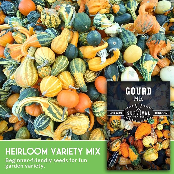 Mixed Gourd Seeds for Planting – Ornamental Mix of Colorful Decorative Gourds for Fall Crafts, Birdhouses, and Harvest Décor - Heirloom Non-GMO Open-Pollinated - Survival Garden Seeds (1 Pack)