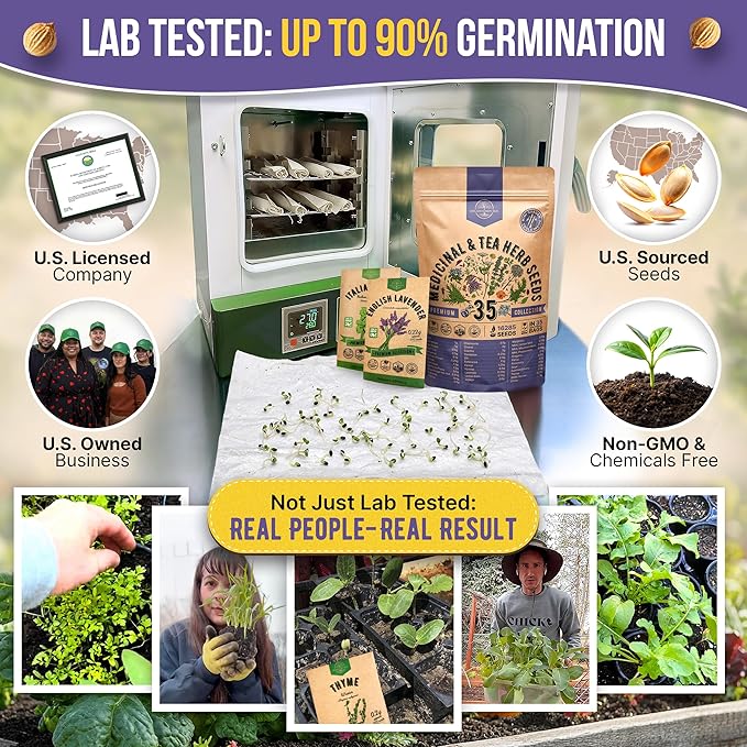 35 Medicinal & Tea Herb Seeds Variety Pack for Indoor & Outdoors. 16,335+ Non-GMO Heirloom Garden Seeds: Anise, Bergamot, Borage, Cilantro, Chamomile, Dandelion, Rosemary Seeds & More