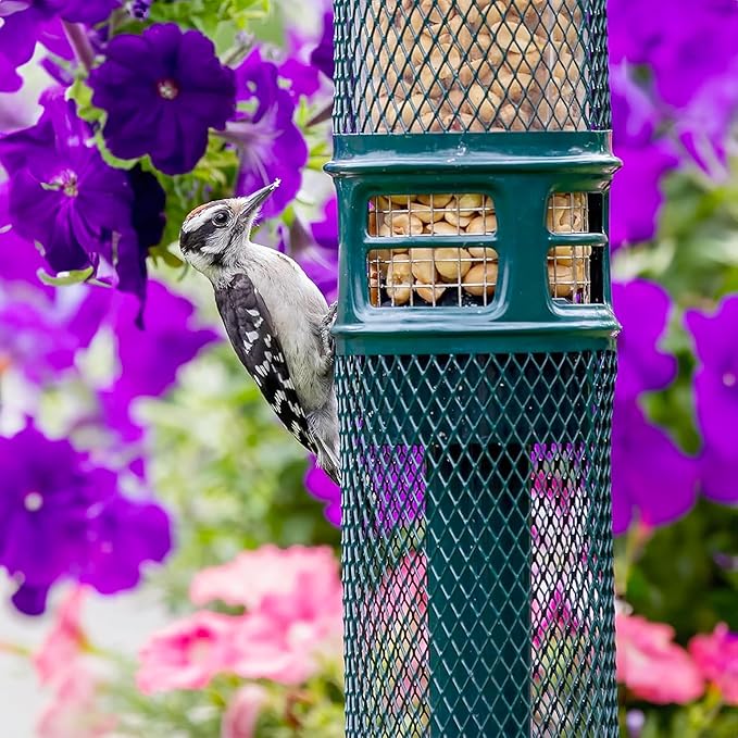 Squirrel Buster Nut Feeder Squirrel-Proof Bird Feeder for Nuts and Fruit, Two Meshes