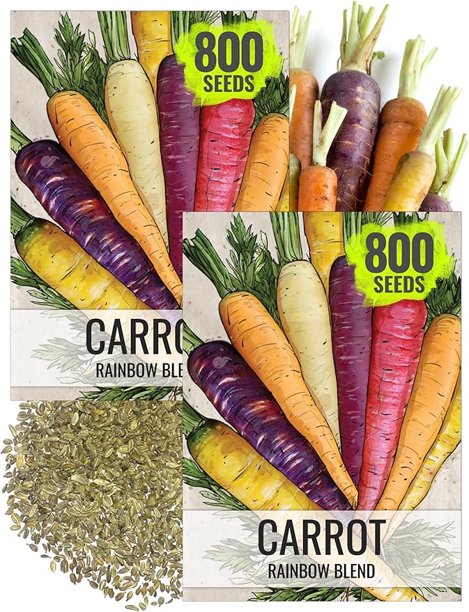 Seed Needs Rainbow Carrot Seeds for Planting Multicolor Carrots - Non-GMO Heirloom & Untreated Veggie Seed to Grow a Home Grown Vegetable Garden in Fall or Spring (2 Packs)