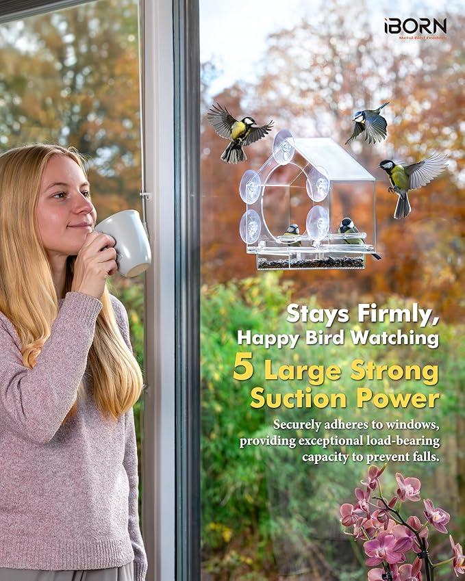 iBorn 2026 New Window Bird Feeders for Outdoors Wind-Proof Tray Lock,Cardinal Bird Feeder with Strong Suction Cups for Window Birds Watching, Chewproof PC, for Parent &Child