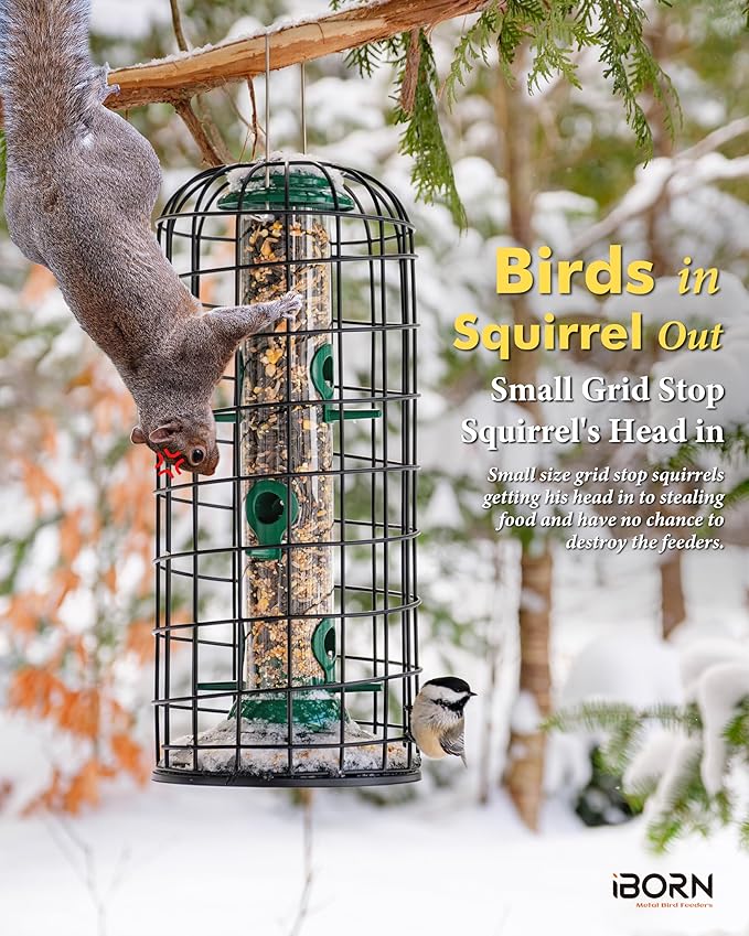 iBorn Bird Feeders Hanging-Squirrel & Pigeon Proof Bird Feeder, Heavy Duty All Metal Green 14 Inch, Outdoor for Mix Seed Blends & Garden