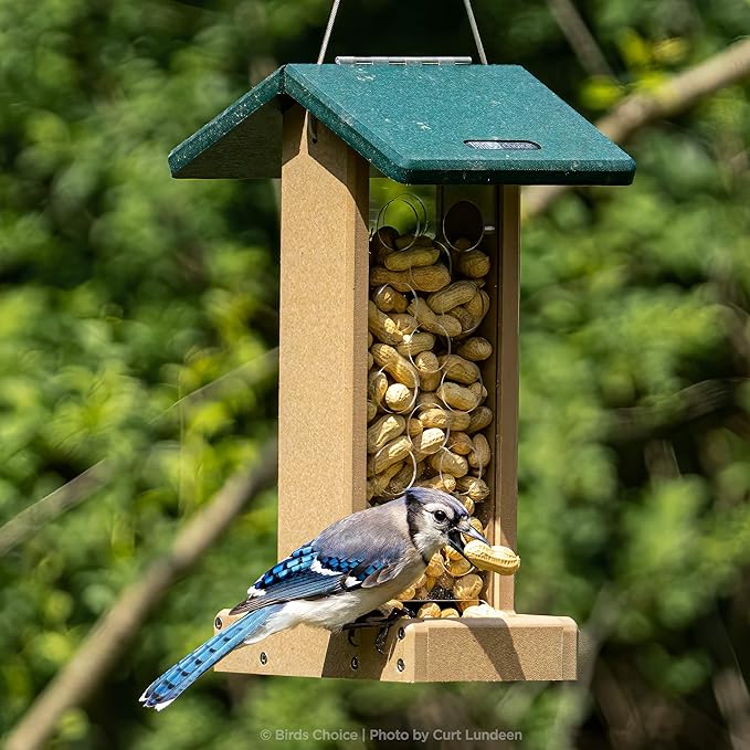 Birds Choice Whole Peanut Bird Feeder for Blue Jays and Woodpeckers - Durable Recycled Material, Taupe w/ Green, 7"L x 10.50"W x 14.75"H, Made in USA