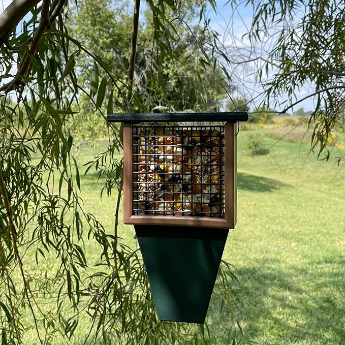 Songbird Essentials Tail Prop Suet Feeder - Recycled Plastic Bird Feeder with Coated Wire Cage for Bird Seed Cakes - Hunter and Driftwood