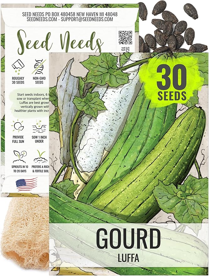 Seed Needs Luffa Seeds for Planting Loofah Sponge Gourds - Non-GMO Heirloom & Untreated Veggie Seed to Plant a Home Grown Outdoor Vegetable Garden (1 Pack)