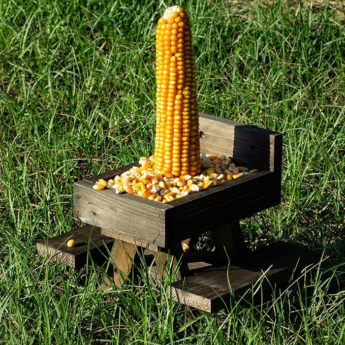 BalterFF Squirrel Feeder for Outside Yard Games Funny Peanuts in Shell for Picnic Table House Garden Decor Chipmunk Bench Corn Cobs Holder Chipmunk Squirrel Gifts for Squirrel Lovers Wooden