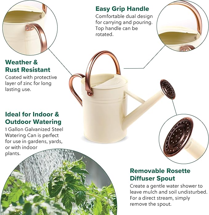 Gardman R34898 1 Gallon Watering Can, Vintage Cream