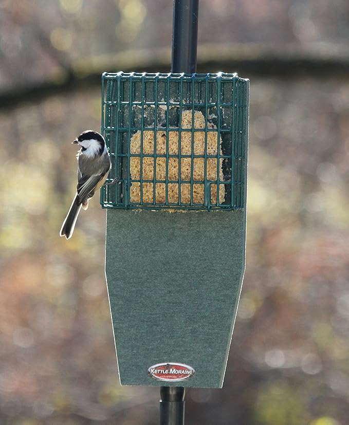 Kettle Moraine Recycled Pole Mount Single Suet Cake Feeder w/ Woodpecker Tail Prop