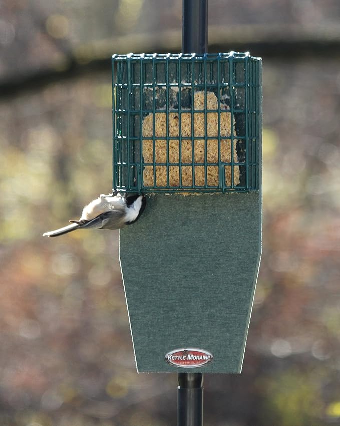 Kettle Moraine Recycled Pole Mount Single Suet Cake Feeder w/ Woodpecker Tail Prop