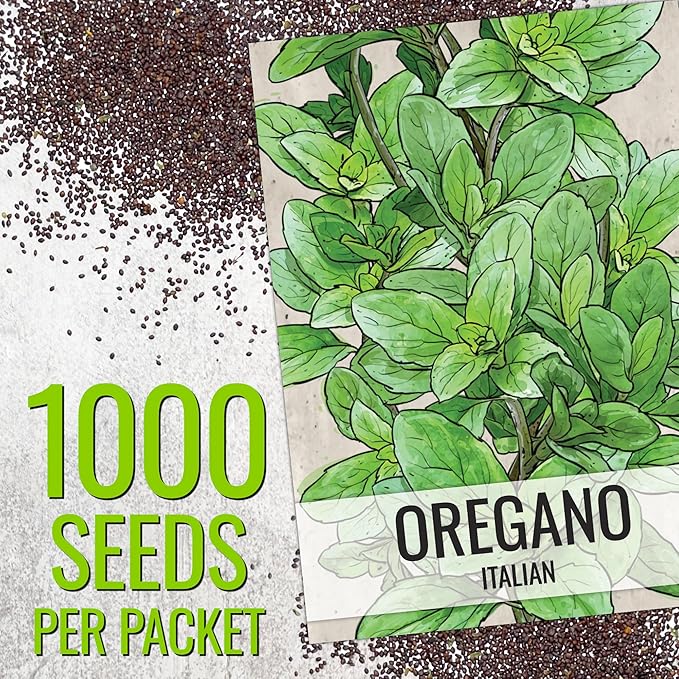 Seed Needs Sweet Basil & Italian Oregano Seeds for Planting Fresh Kitchen Herbs - Non-GMO Heirloom & Untreated Perennial & Annual Herb Seed to Plant a Culinary Garden Indoors or Outdoors (2 Packs)