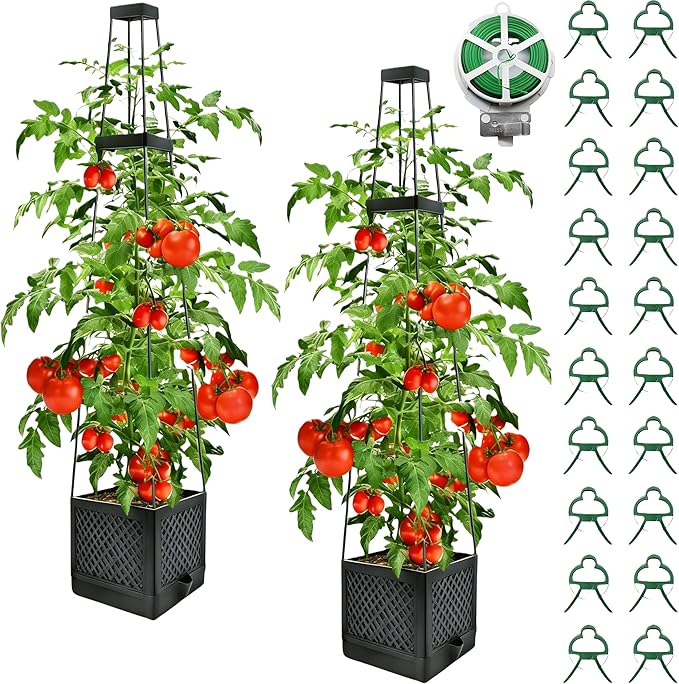 2Pcs Raised Garden Bed Tomato Planter Box with Trellis, 57 Inch Self-Watering Large Tomato Cage for Patio Garden Pots, Climbing Plants Cucumber Vine Vegetables Flowers Outdoor & Indoor