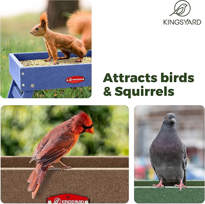 Kingsyard Ground Bird Feeder for Outdoors - Recycled Plastic Platform Feeder for Wild Birds, Squirrels, Chicken, 5 LBS Large Capacity, Green