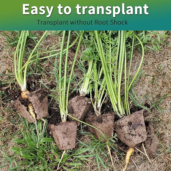 TCBWFY 640Cells Seedling Start Trays,40 Pack Peat Pots Seedling Pots Biodegradable,Seedling Starter Kit,Organic Germination Plant Starter Trays