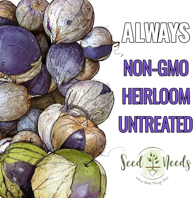 Seed Needs Purple Tomatillo Seeds for Planting - Non-GMO Heirloom & Untreated Annual Veggie Seed to Plant a Home Grown Vegetable Garden Outdoors (2 Packs)