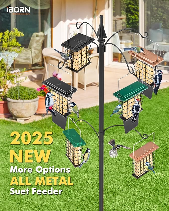 iBorn Metal Suet Feeder with Tail Prop | Durable Suet Cake Cage Bird Feeder for Outdoors，Woodpecker Feeder for Outside Hanging，Heavy-Duty Suet Holder,Easy Clean & Refill,1 Pack,Black