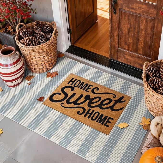 Outdoor Rug 3x5,Washable Striped Rug Front Porch Rugs,Indoor Outdoor Carpet Soft Hand Woven Rug Lightweight Front Door Rugs for Entry/Home Decor/Farmhouse(Blue and Cream)