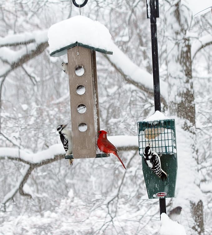Kettle Moraine Recycled Pole Mount Single Suet Cake Feeder w/ Woodpecker Tail Prop