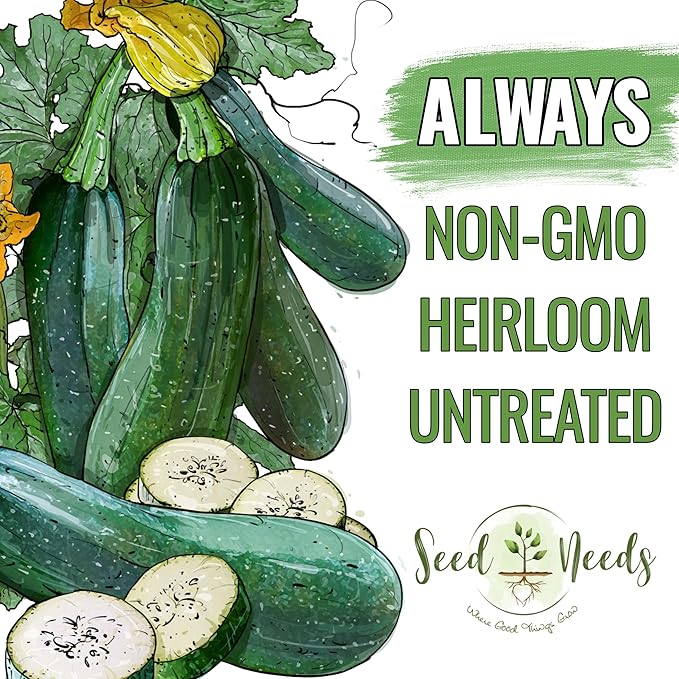 Seed Needs Zucchini Seeds for Planting Black Beauty Summer Squash - Non-GMO, Heirloom & Untreated - Prolific Yields of Delicious Zucchinis in a Home Grown Outdoor Vegetable Garden (5 Packs)