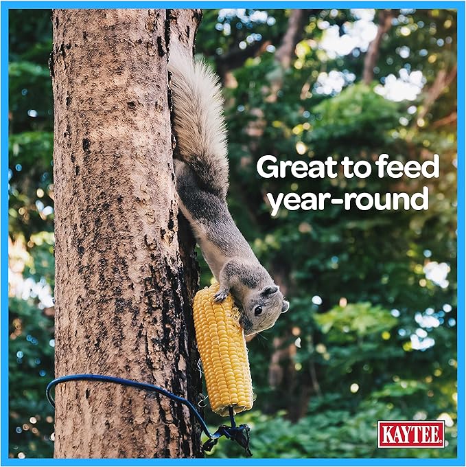 Kaytee Corn On The Cob Food for Wild Squirrels, Rabbits, Chipmunks and Other Backyard Wildlife, 6.5 Pound (Pack of 2)