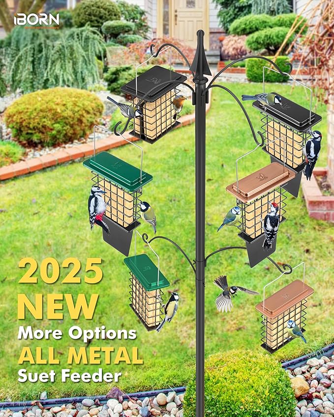 iBorn Suet Feeder with Tail Prop,Woodpecker Feeder,Suet Feeders for Outside Hanging,Suet Bird Feeders for Outdoors,Heavy-Duty Suet Cage,Suet Holder,Rainproof Roof,Easy Clean and Refill,1 Pack,Green