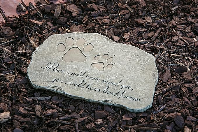Evergreen Garden Pet Paw Print If Love Could Have Saved You Garden Memorial Stone | Outdoor Safe | 12-Inch | Rainbow Bridge | Remembrance for Lost Love One