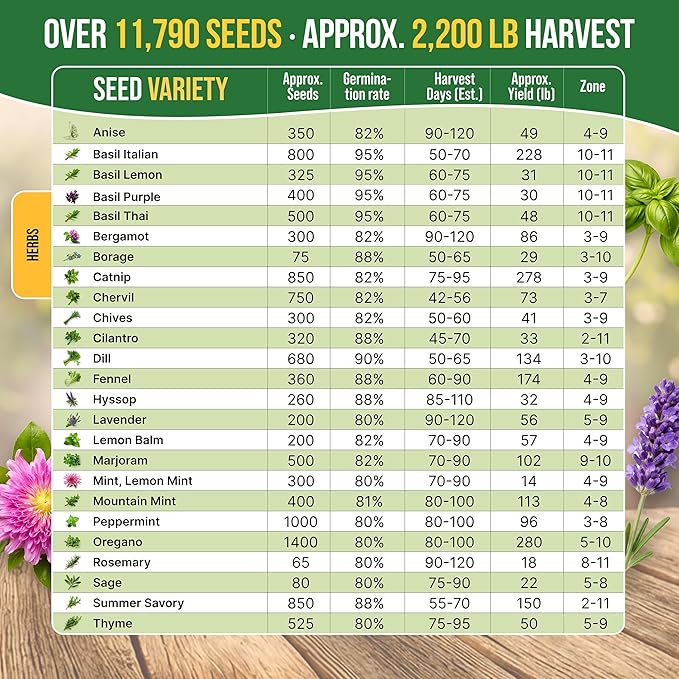 25 Most Popular Herb Seeds Variety Pack - 11,700 Non-GMO Heirloom Seeds for Planting Herbs in Individual Seed Packets for Hydroponic, Indoor & Outdoor Gardening