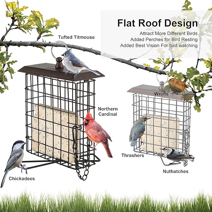 iBorn Suet Feeder Suet Bird Feeders for Outside Hanging,Squirrel Proof Suet Cakes Bird Feeder for Wild Birds,Metal Brown(Pack of 2)