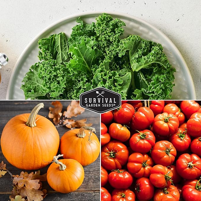 Vegetable Garden Starter Kit – 20 Variety Heirloom Non-GMO Seeds for Planting | Giftable Family Garden Kit for Beginner Victory Gardens – Start Growing Indoors or Outdoors – Survival Garden Seeds
