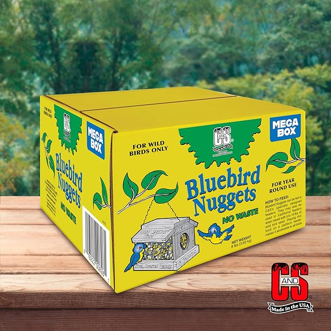 C&S Wild Bird Bluebird Suet Nuggets Mega Box, 8 Pounds