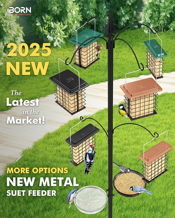iBorn Suet Feeder Suet Bird Feeders [Single Capacity] for Outside Hanging with Taller Grid for Woodpecker,Metal Black（Pack of 1）