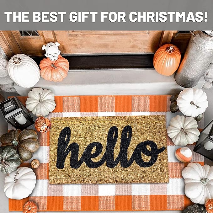 IOHOUZE Fall Buffalo Plaid Check Rug Outdoor Doormat 27.5 x 43 Inches Washable Woven Porch Decor Welcome Mats for Front Door/Farmhouse/Entryway/Home Entrance Orange and White Outdoor Rug