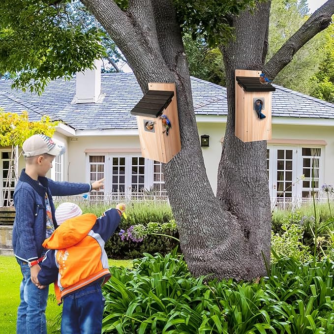 Dreyoo Cedar Bluebird Box Houses for Outside, 1-1/2'' Entrance Hole Wooden Bird Houses with Metal Guard, Secure Latch, Fledgling Grooves, Air Vents for Bluebird Wren Swallow(2 Pack)